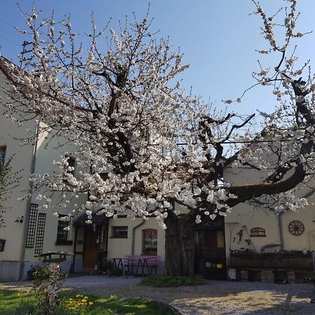 Ferienwohnung Zum-Alten-Kirschbaum Limburg an der Lahn Buitenkant foto