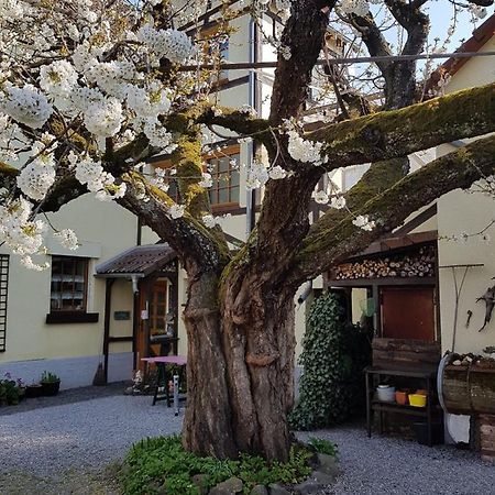 Ferienwohnung Zum-Alten-Kirschbaum Limburg an der Lahn Buitenkant foto
