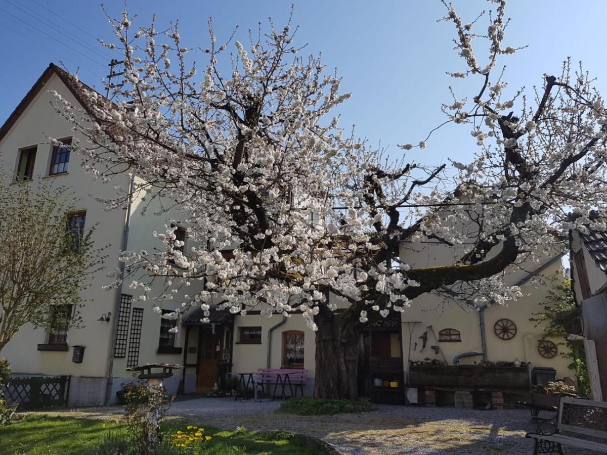 Ferienwohnung Zum-Alten-Kirschbaum Limburg an der Lahn Buitenkant foto