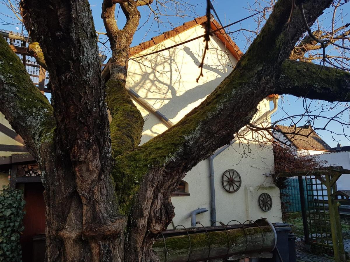 Ferienwohnung Zum-Alten-Kirschbaum Limburg an der Lahn Buitenkant foto