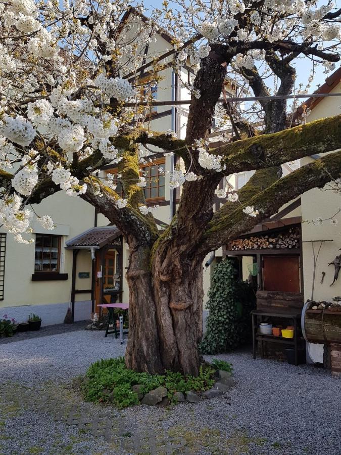 Ferienwohnung Zum-Alten-Kirschbaum Limburg an der Lahn Buitenkant foto
