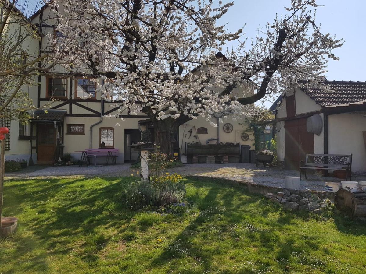 Ferienwohnung Zum-Alten-Kirschbaum Limburg an der Lahn Buitenkant foto