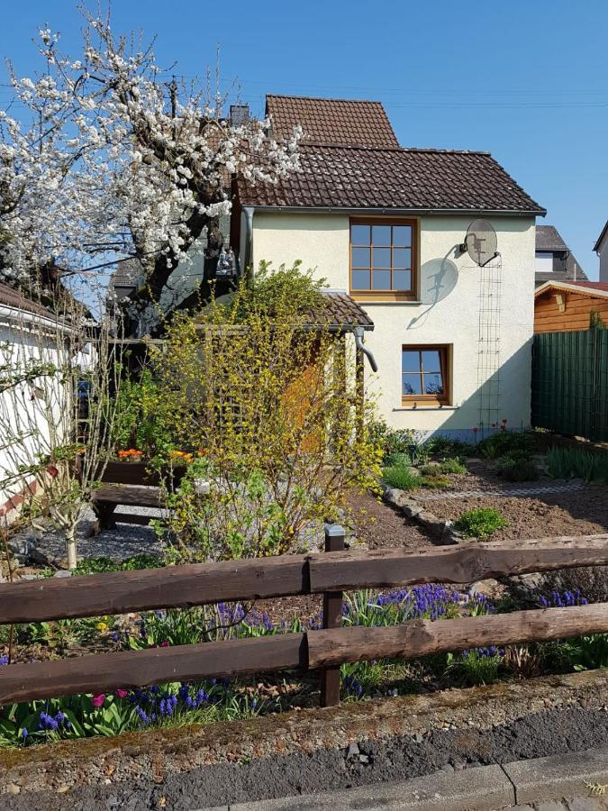 Ferienwohnung Zum-Alten-Kirschbaum Limburg an der Lahn Buitenkant foto
